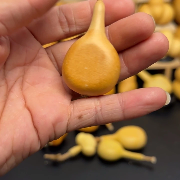 面****?1255556699699999