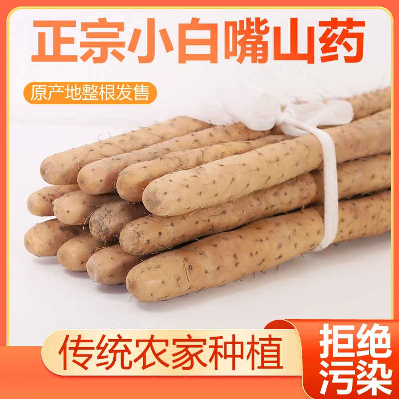甄选正宗新鲜现挖小白嘴铁棍山药软糯铁杆淮山药当季蠡县产地直发