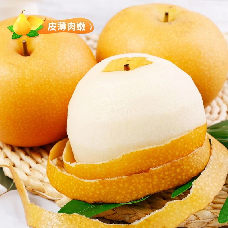 山东正宗秋月梨脆甜多汁应季新鲜水果礼盒