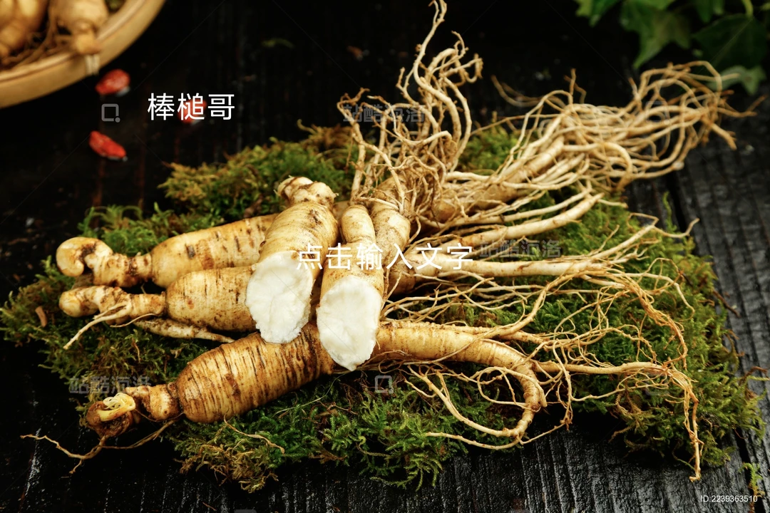 长白山新鲜残参锈参滋补人参鲜参