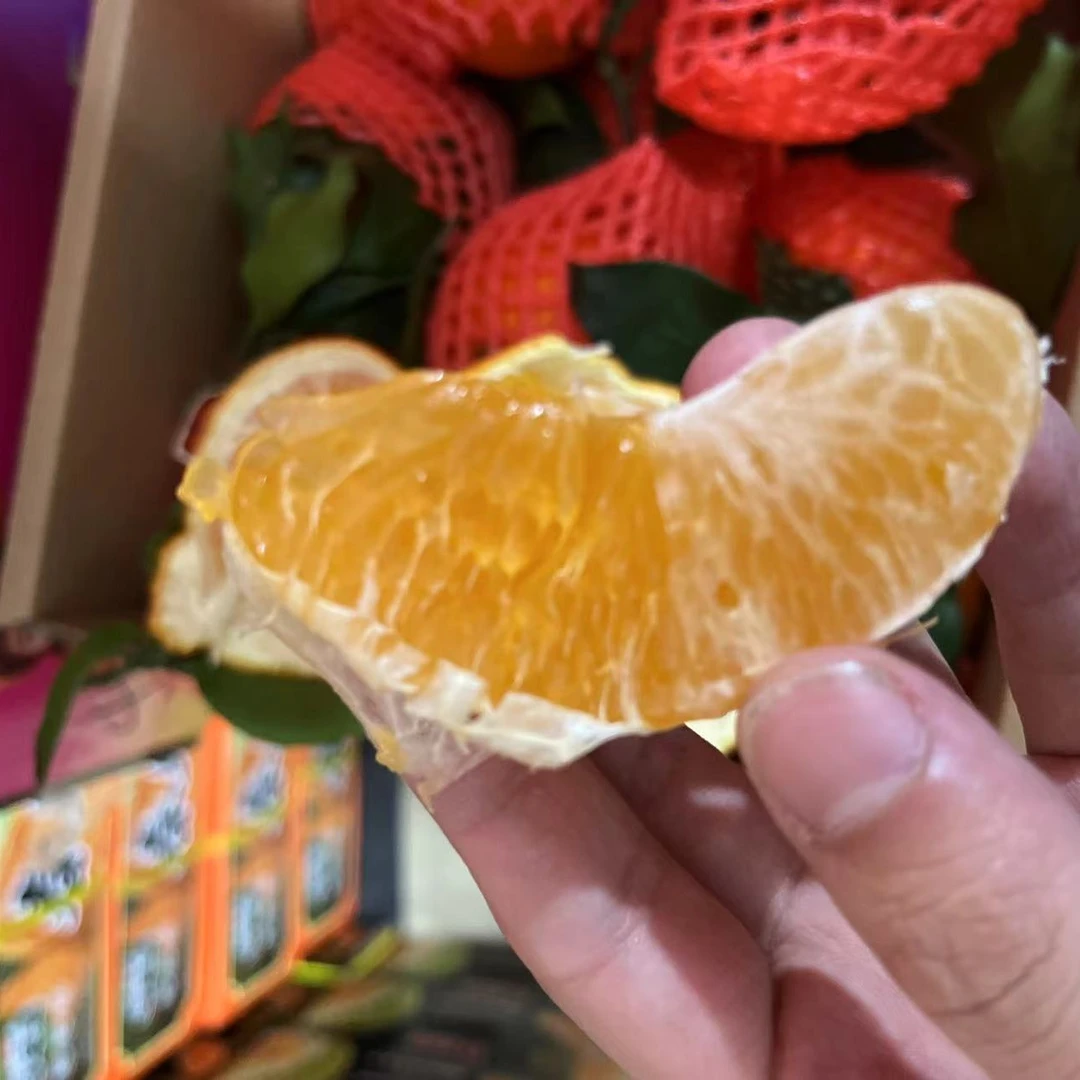 鱼子酱一般的果肉 顶级粑粑柑