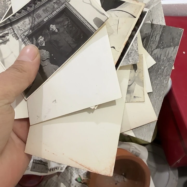 筱***)扇子吃哥哥哥哥哈哈哈哈哈哈