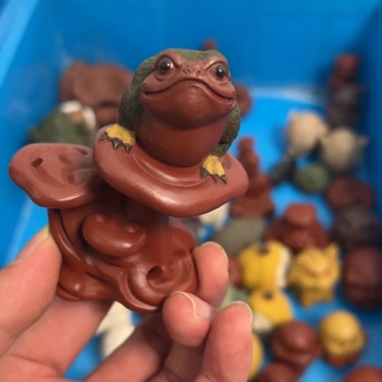 蟾蜍噜啦啦啦啦啦啦