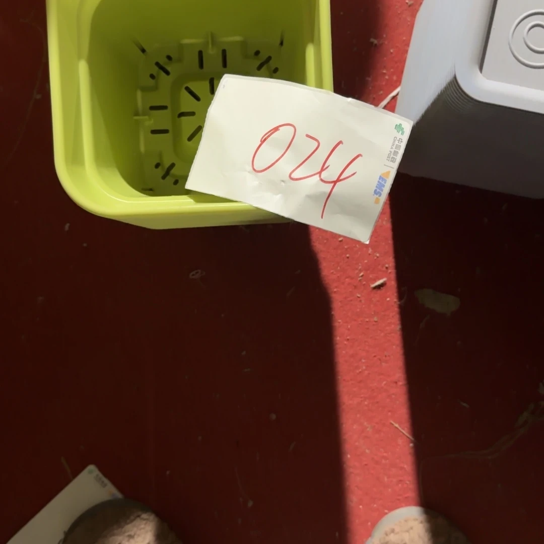 编号是024号的024号的