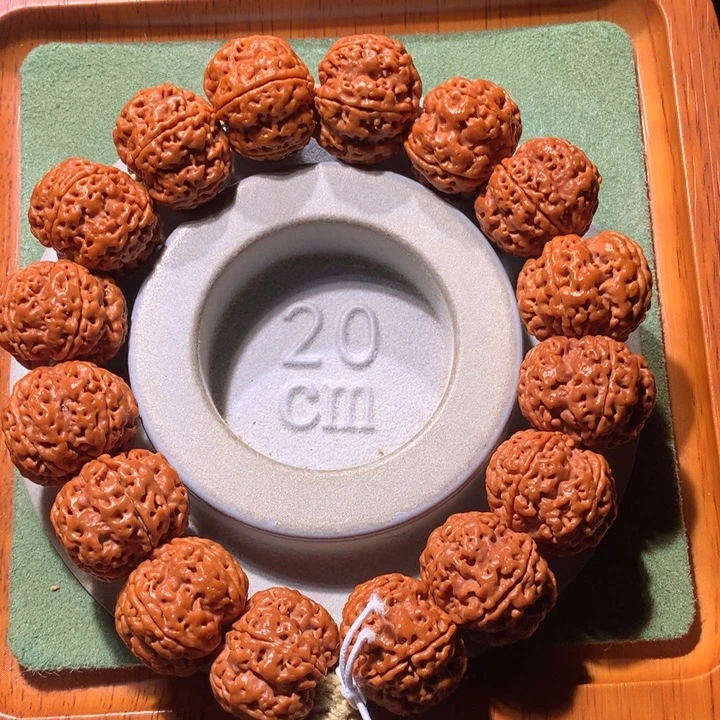 手串金刚菩提开播福利21+龙爪梅花