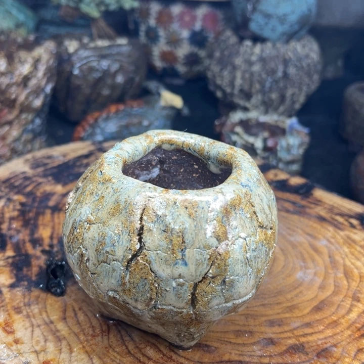 星****陶瓷制品不退不换