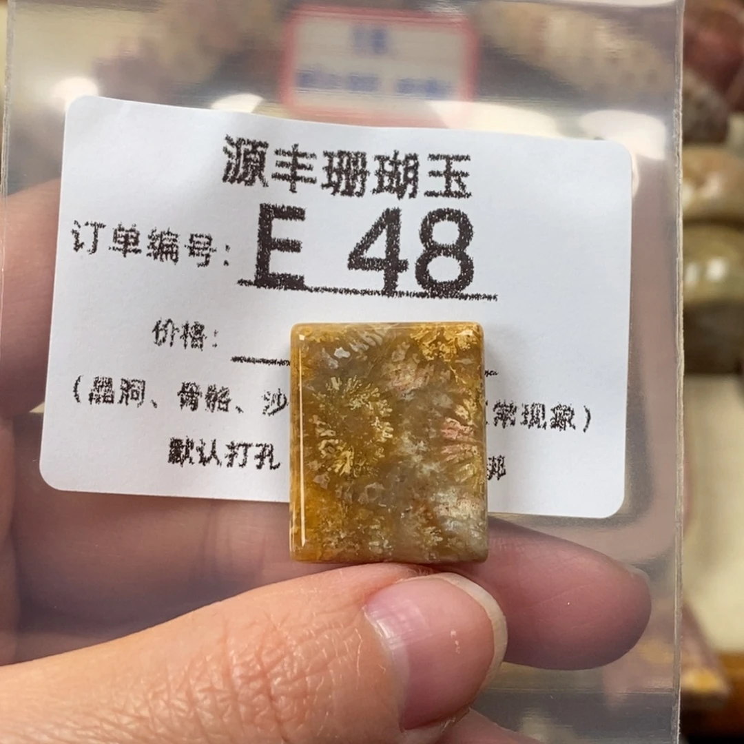 冷***.硅化玉未镶嵌颈饰