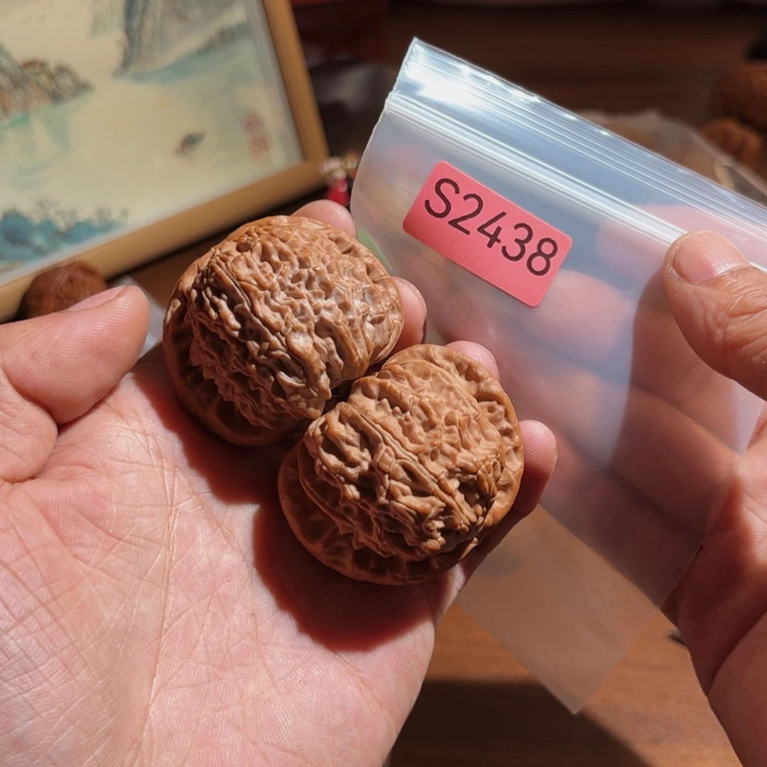 文玩核桃把件白狮子