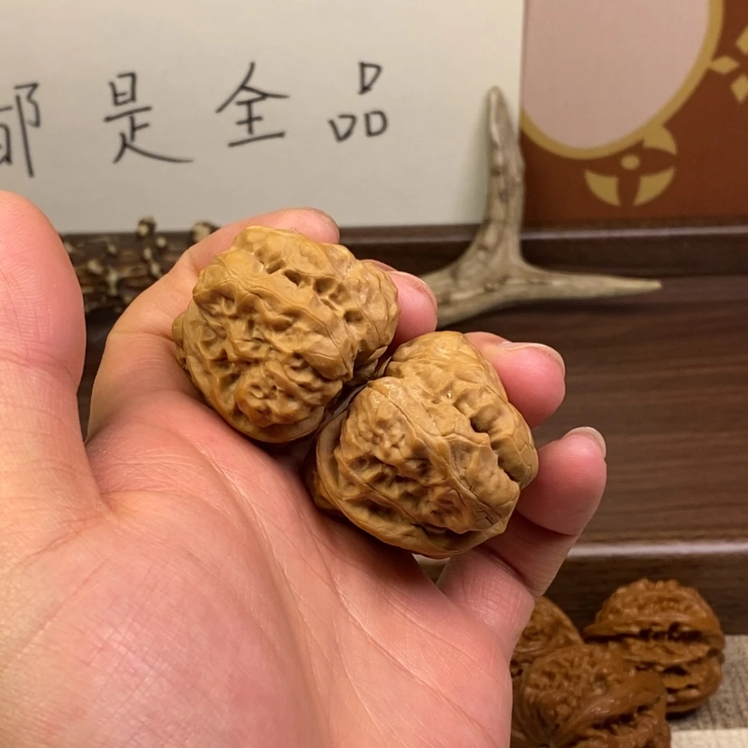 核桃38边42肚蛤蟆头四开背