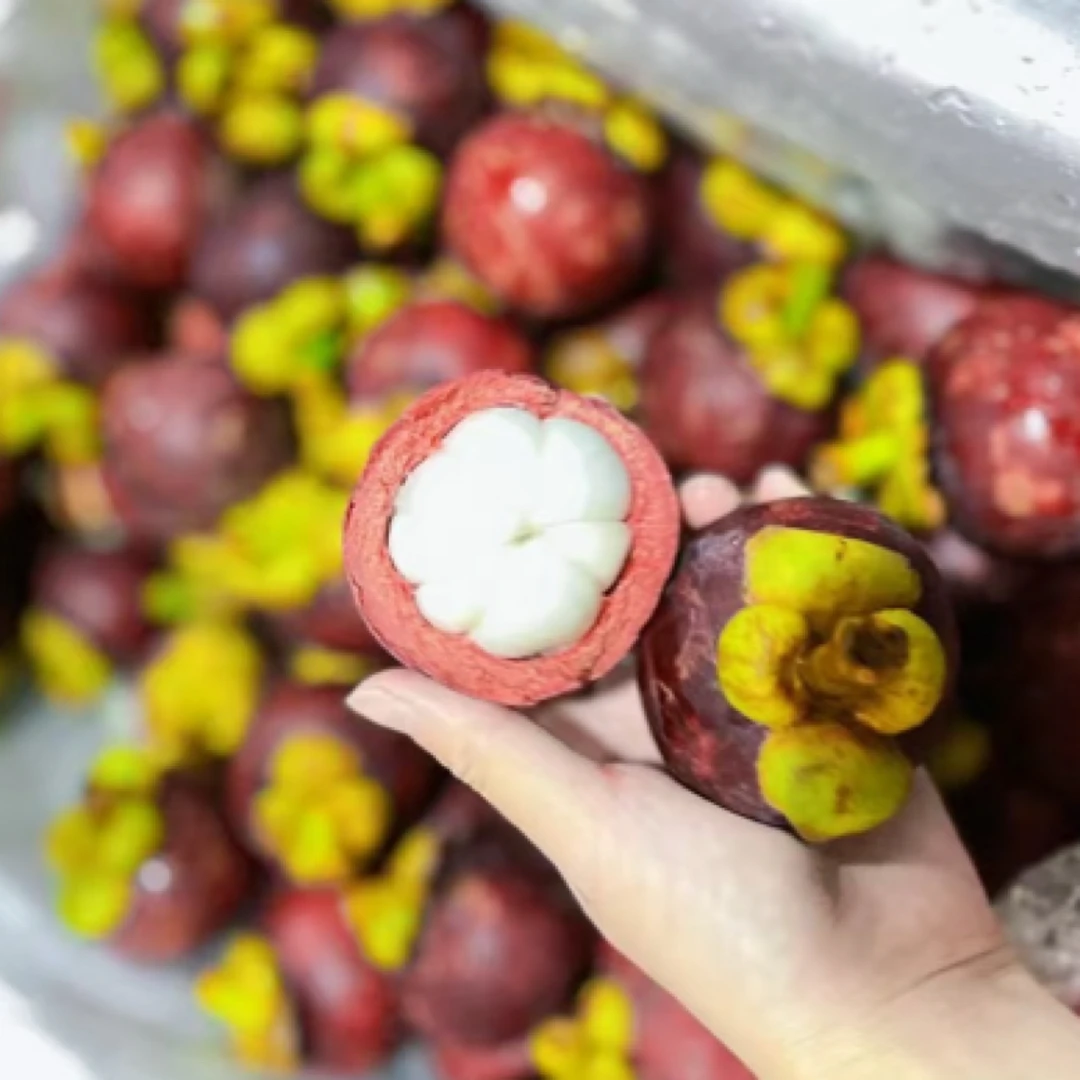 何以去火 唯有山竹 个个白胖子 500克起卖