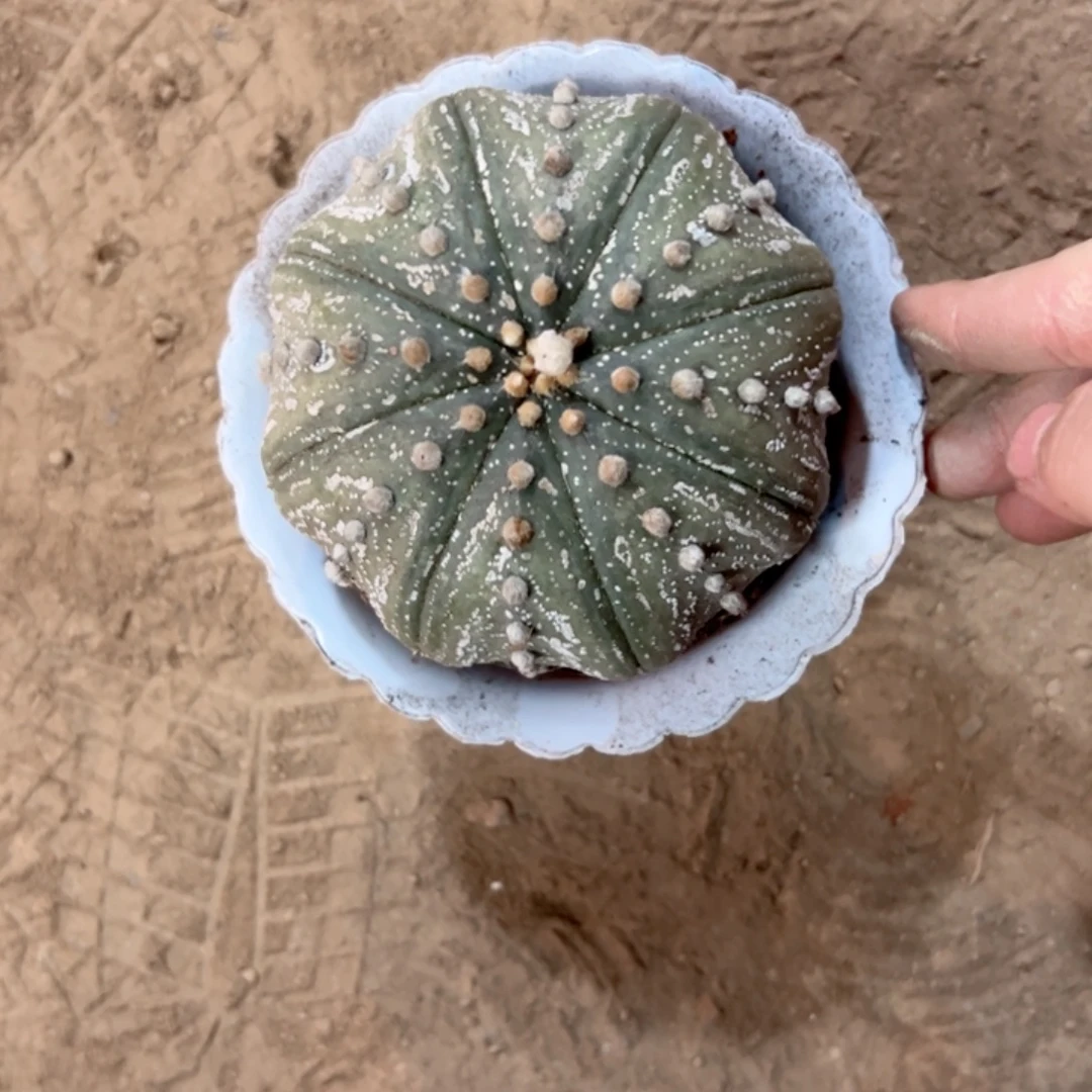 (****哈哈哈哈哈哈哈哈哈哈哈哈哈