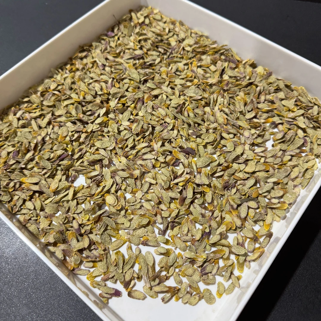 铁皮石斛 紫芽石斛片 胶质丰富无渣