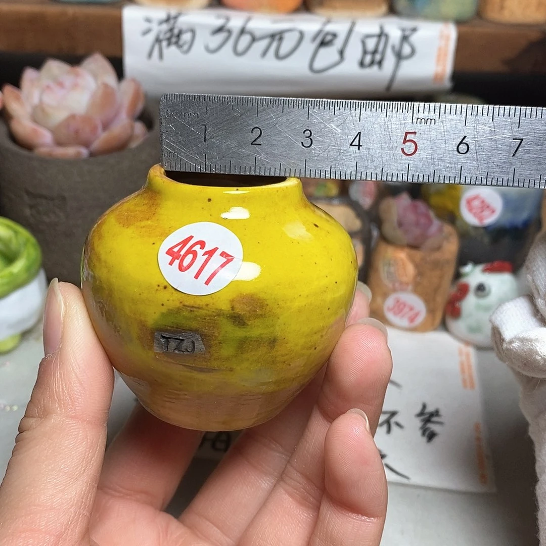 红陶开****拍5送一个小