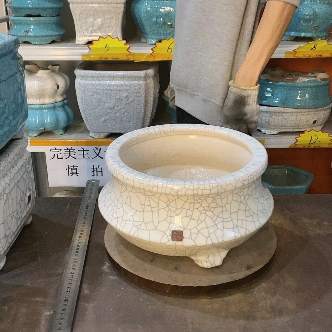 花盆花盆里的花都开了