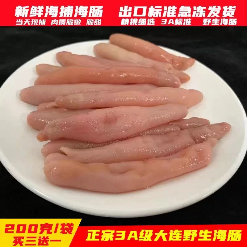 大连特产野生海肠子皮鲜活海沙虫冷冻海肠皮海鲜包邮新鲜海肠胶子
