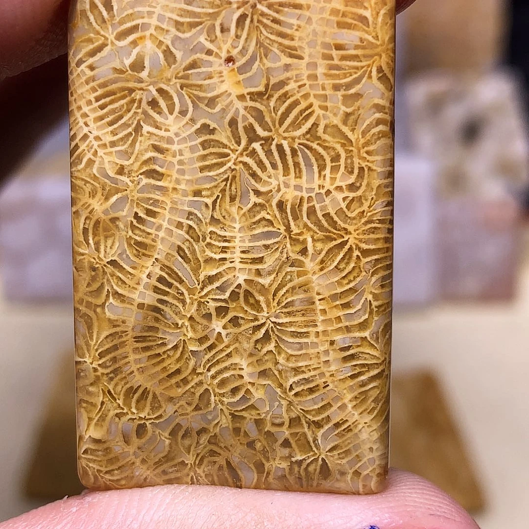 硅化玉珠宝奇石合金N***a