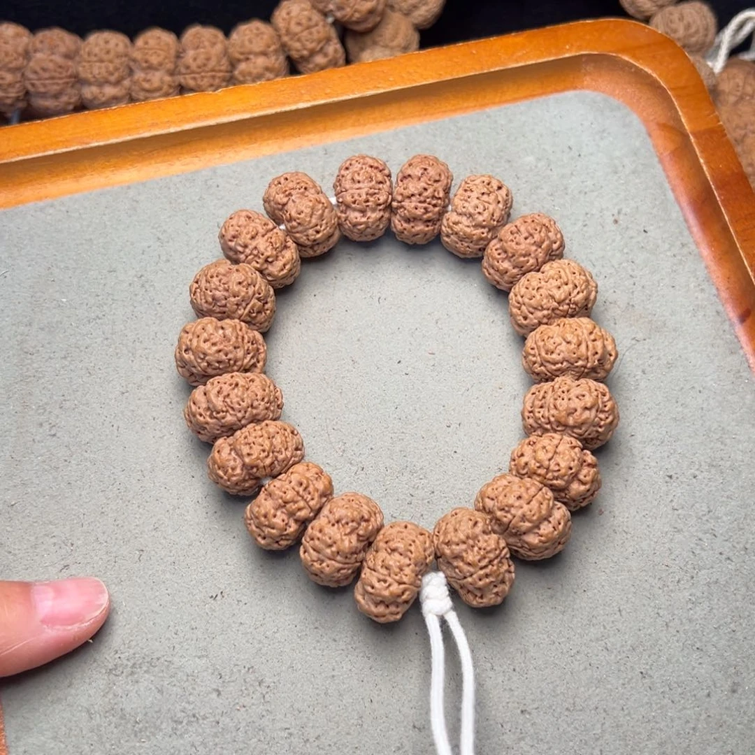 菩提19号金刚菩提蜂王夹板20