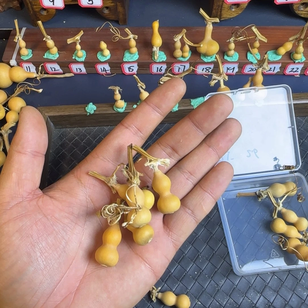 薄*つ我是一只小小鸟地域鬼的人