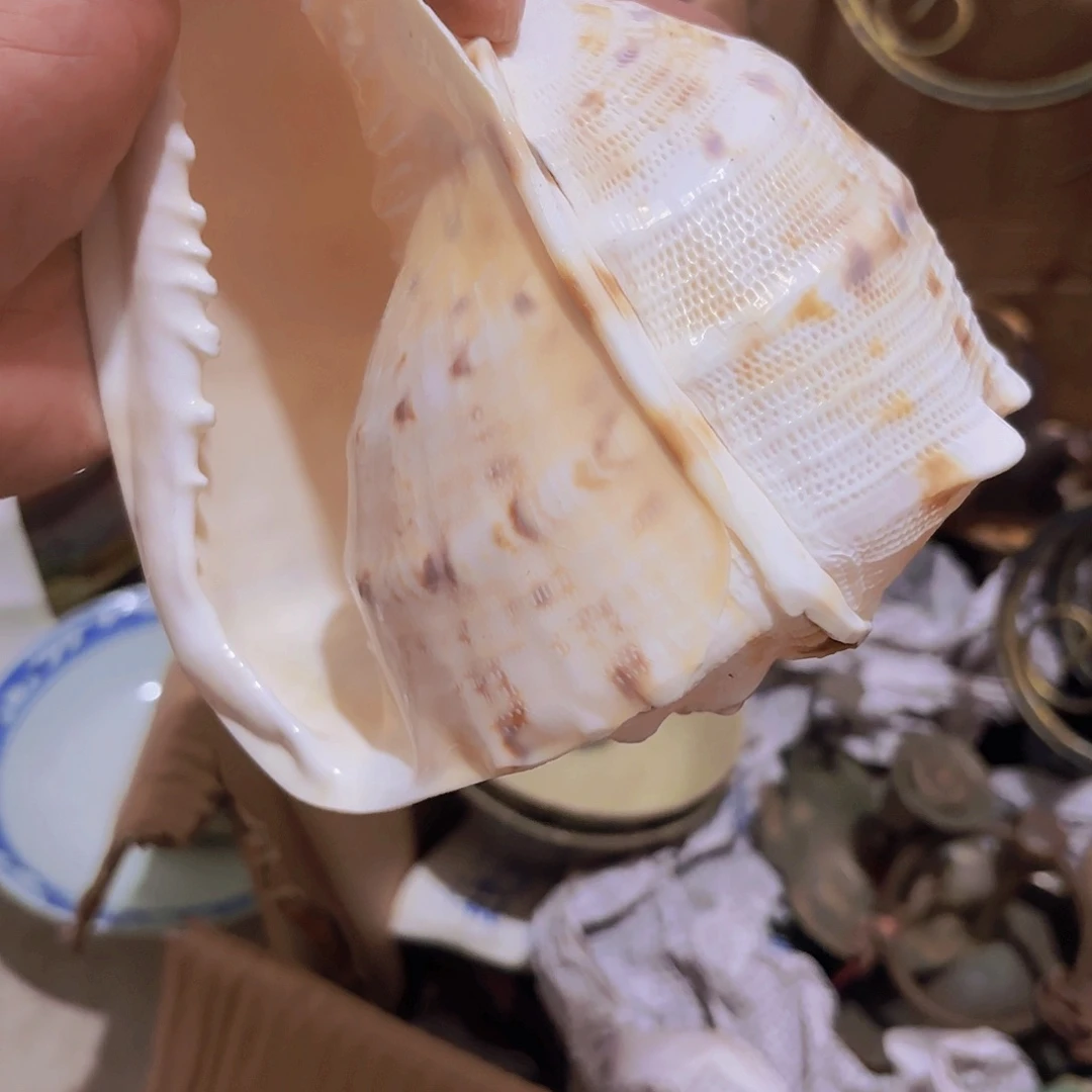 阳***阳杂色豆（科檀/科特迪瓦檀木）