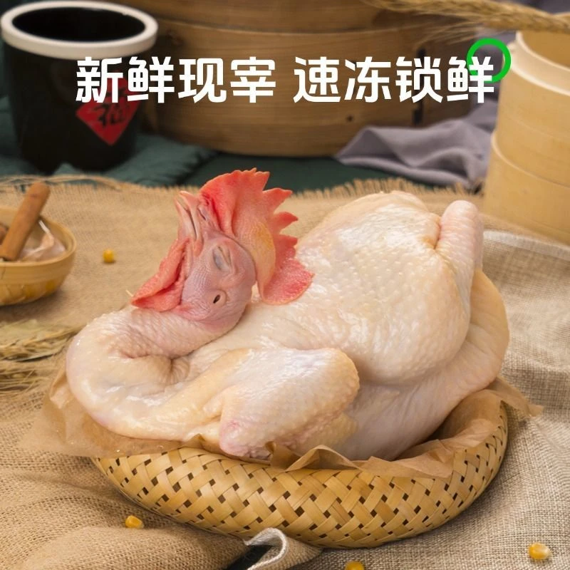 【散养土鸡】贵州深山农家散养正宗新鲜土鸡现杀黄油老母鸡不带内脏 包冰率15%-20%