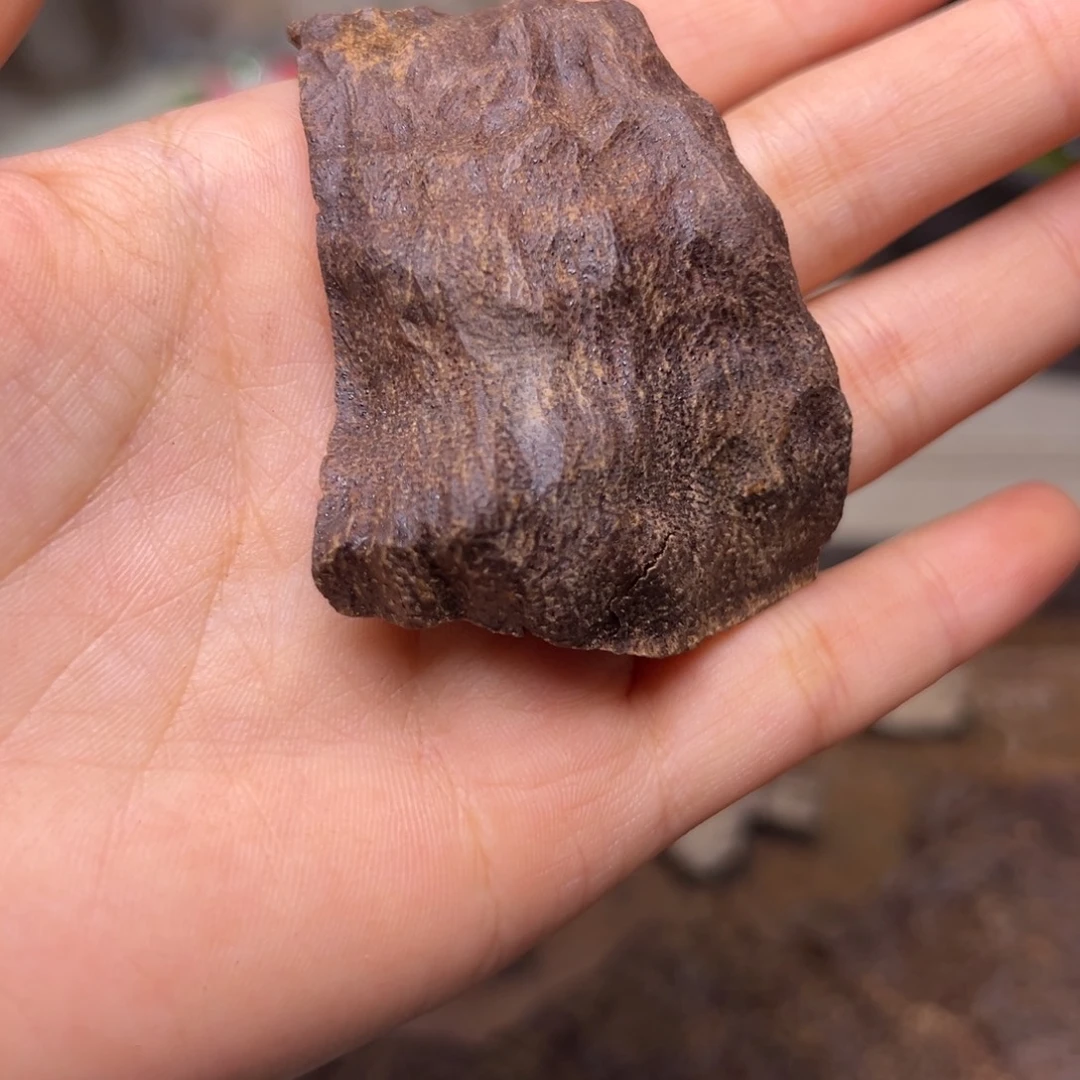 沉香碎屑沉香海南尖峰岭沉水老包头7.7克