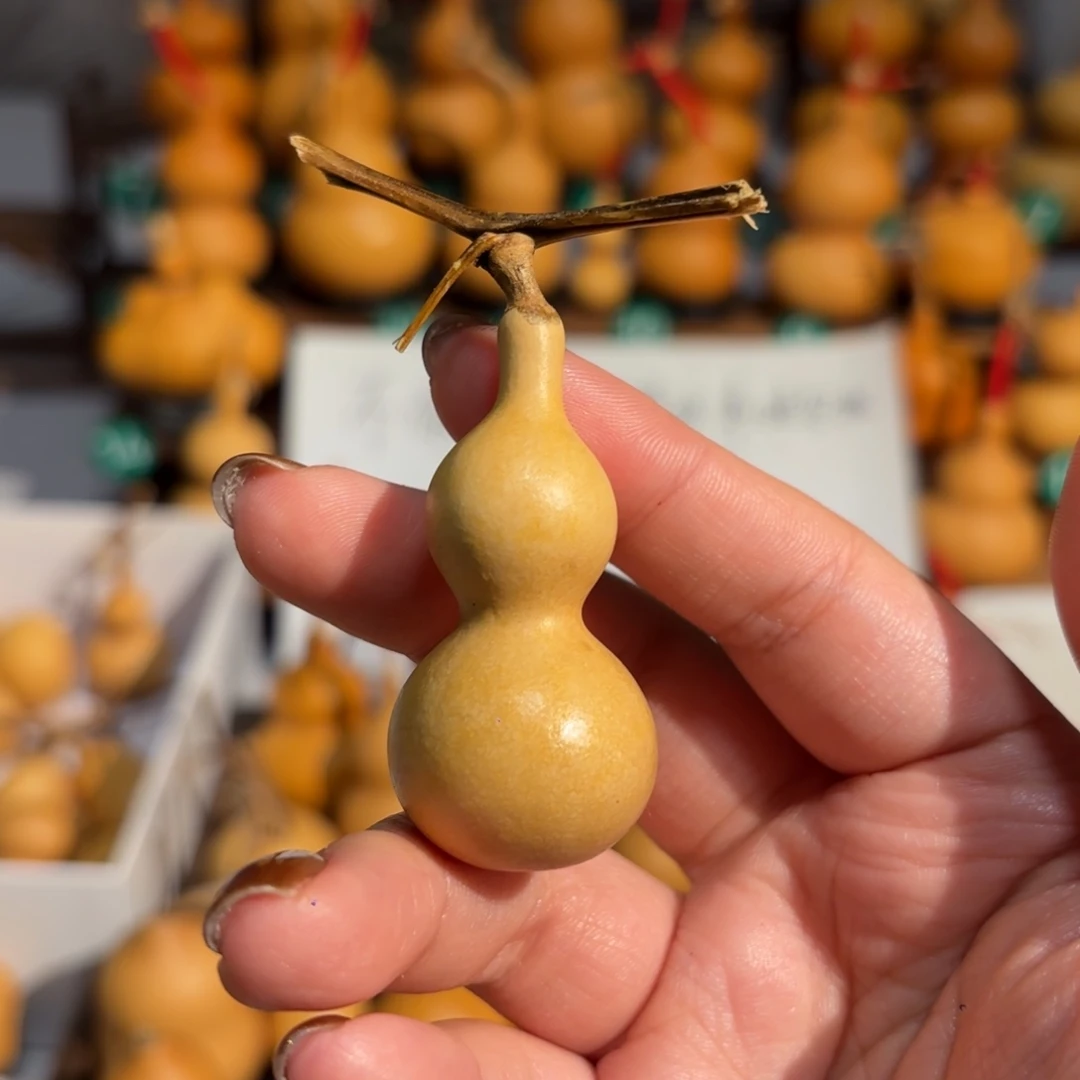 可***吖葫芦绕指柔小葫芦