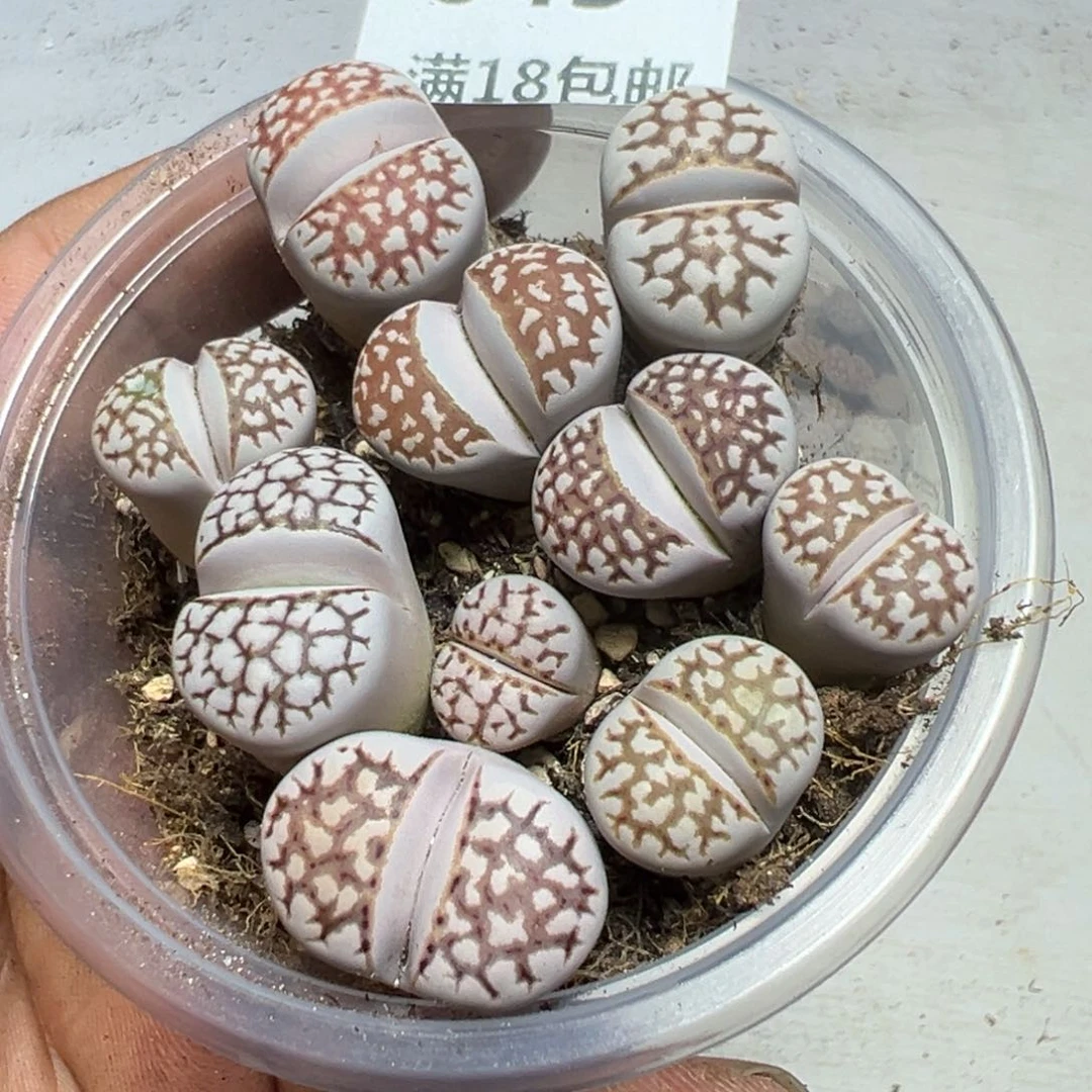 【闪购商品】 643。