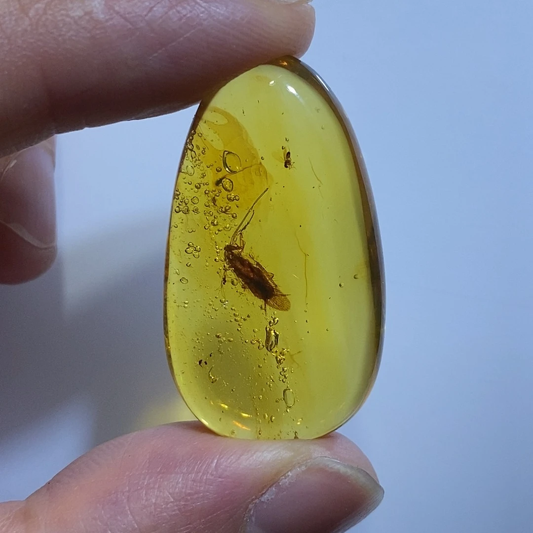 未镶嵌颈饰琥珀大*山天然虫珀吊坠 缅甸琥珀