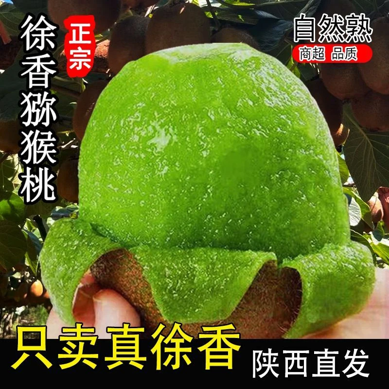 陕西周至 徐香绿心猕猴桃 现摘现发 30枚装 催熟食用