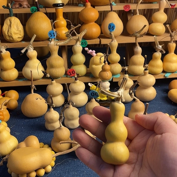 《***》1111111111111111111