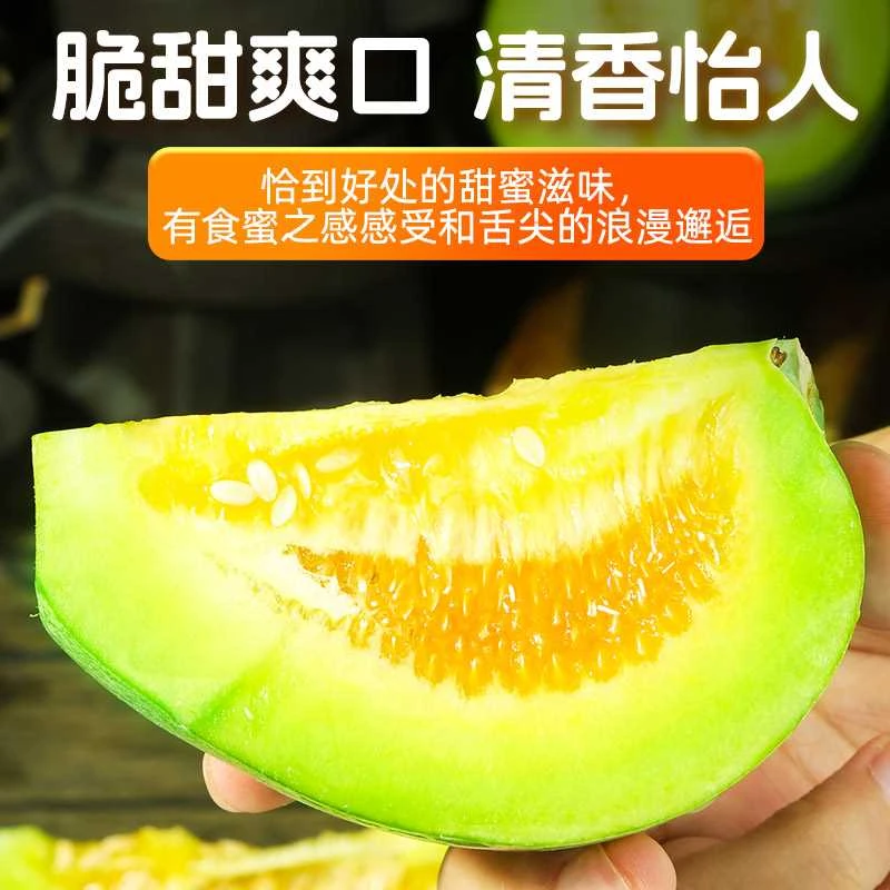 东北头茬绿宝石香瓜