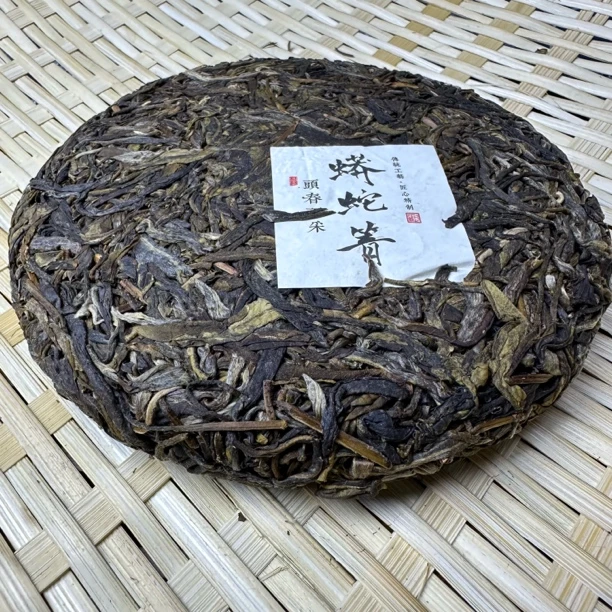 2025年易武蟒蛇箐头春森林乔木生茶饼茶