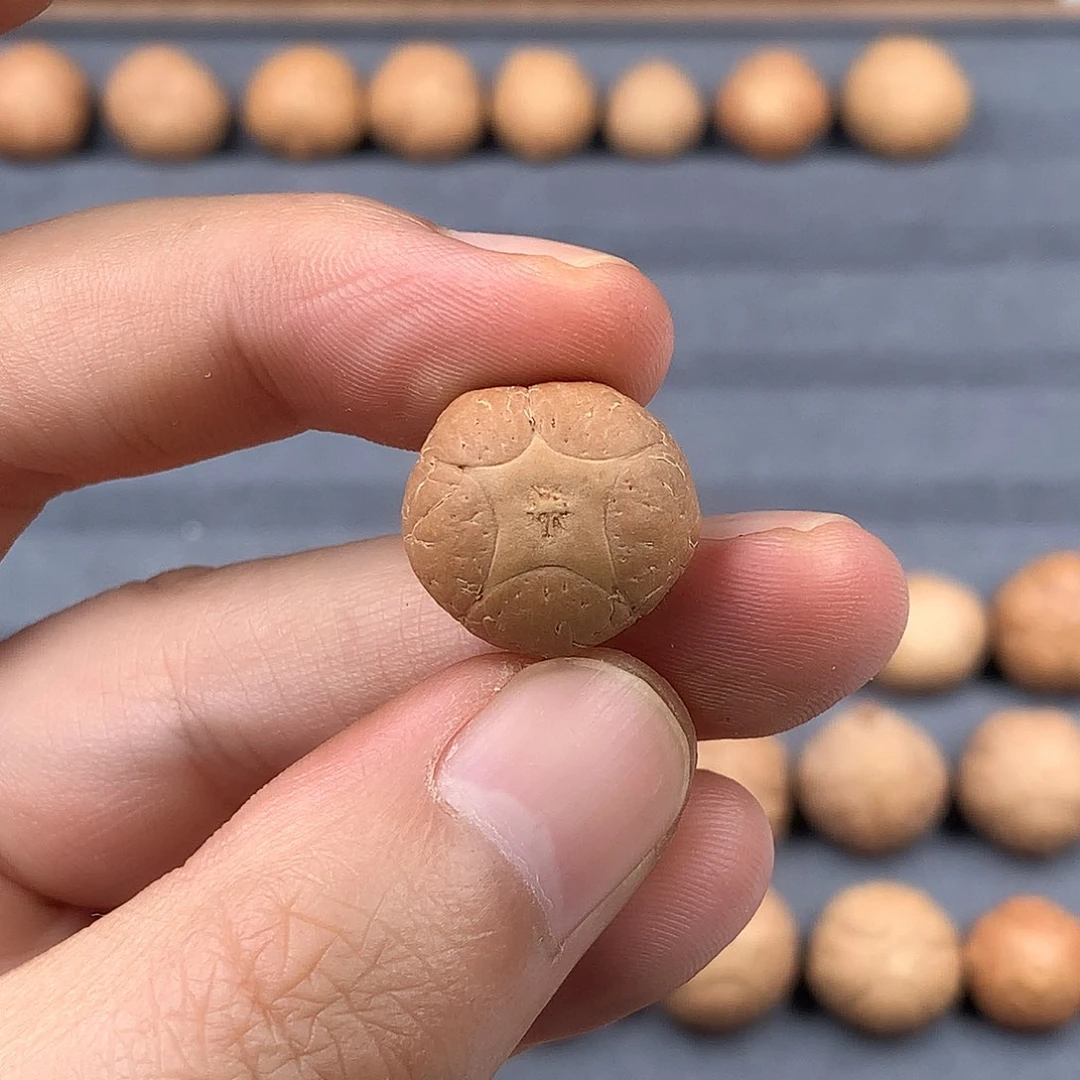手串凤眼菩提18+五星，非质量问题开孔不退