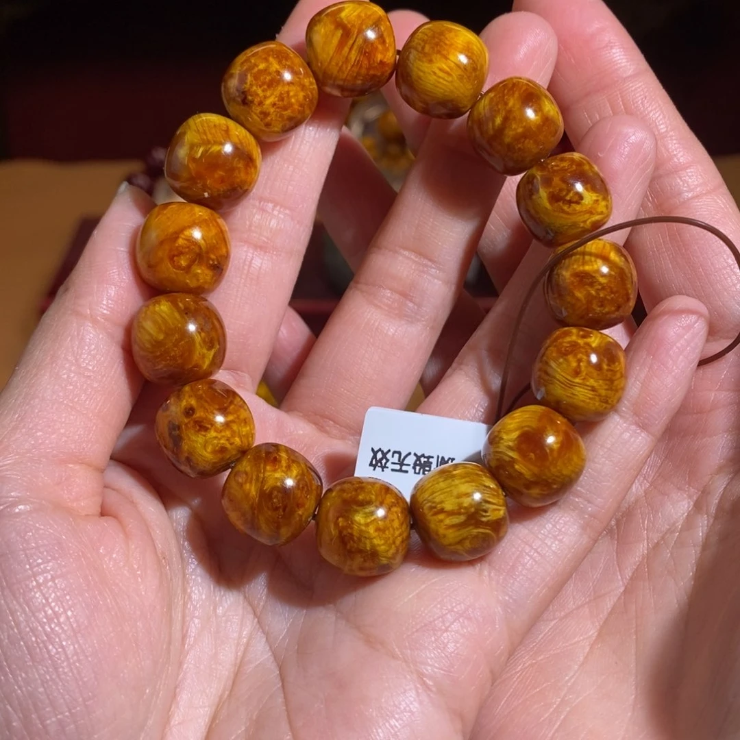 贝壳杉帝王血龙木1.3*1.4瘤疤高货