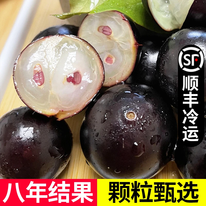 顺丰空运正宗嘉宝果当季新鲜水果树葡萄孕妇水果少见稀有鲜果1斤