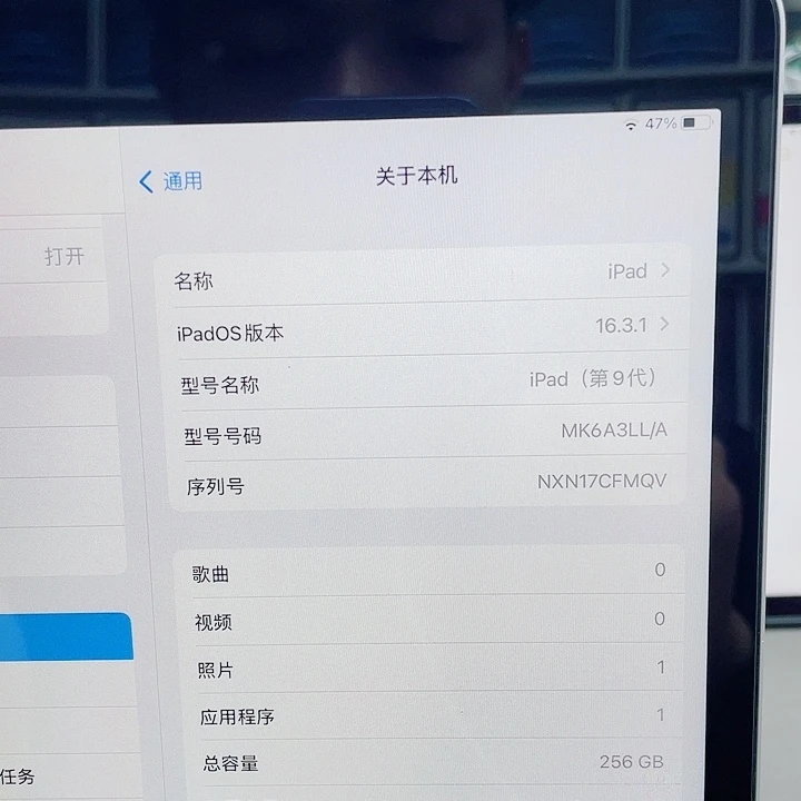 九代插卡+WiFi 两用 256GB 内存
