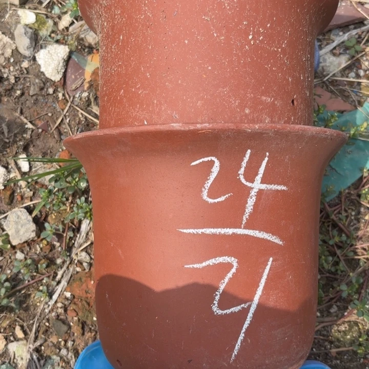 紫砂花盆紫砂的花