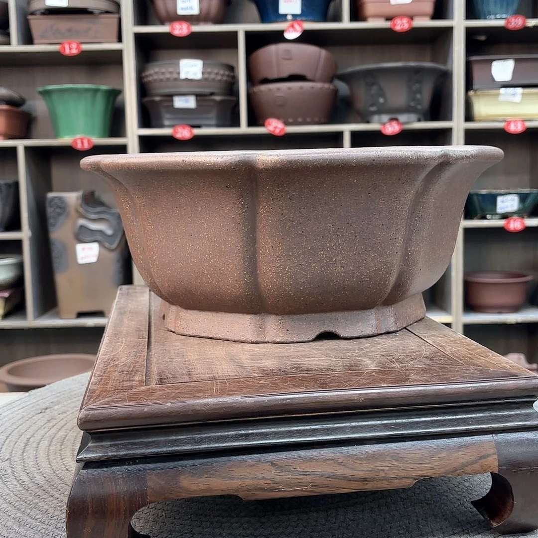 紫砂花盆老*紫砂的花也