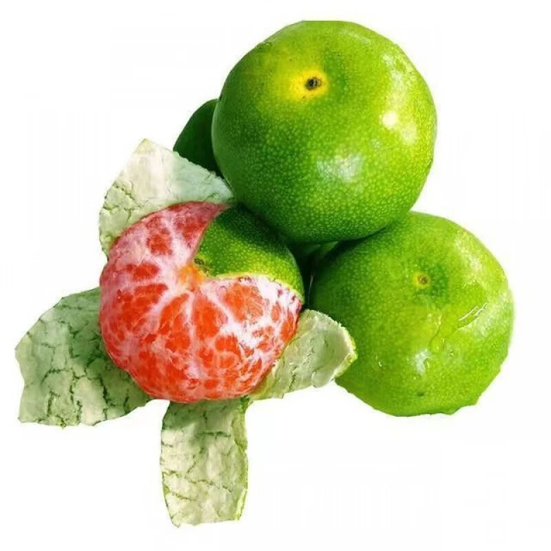 云南现摘青皮蜜橘薄皮新鲜当季水果酸甜可口皮薄蜜橘适合孕妇现发