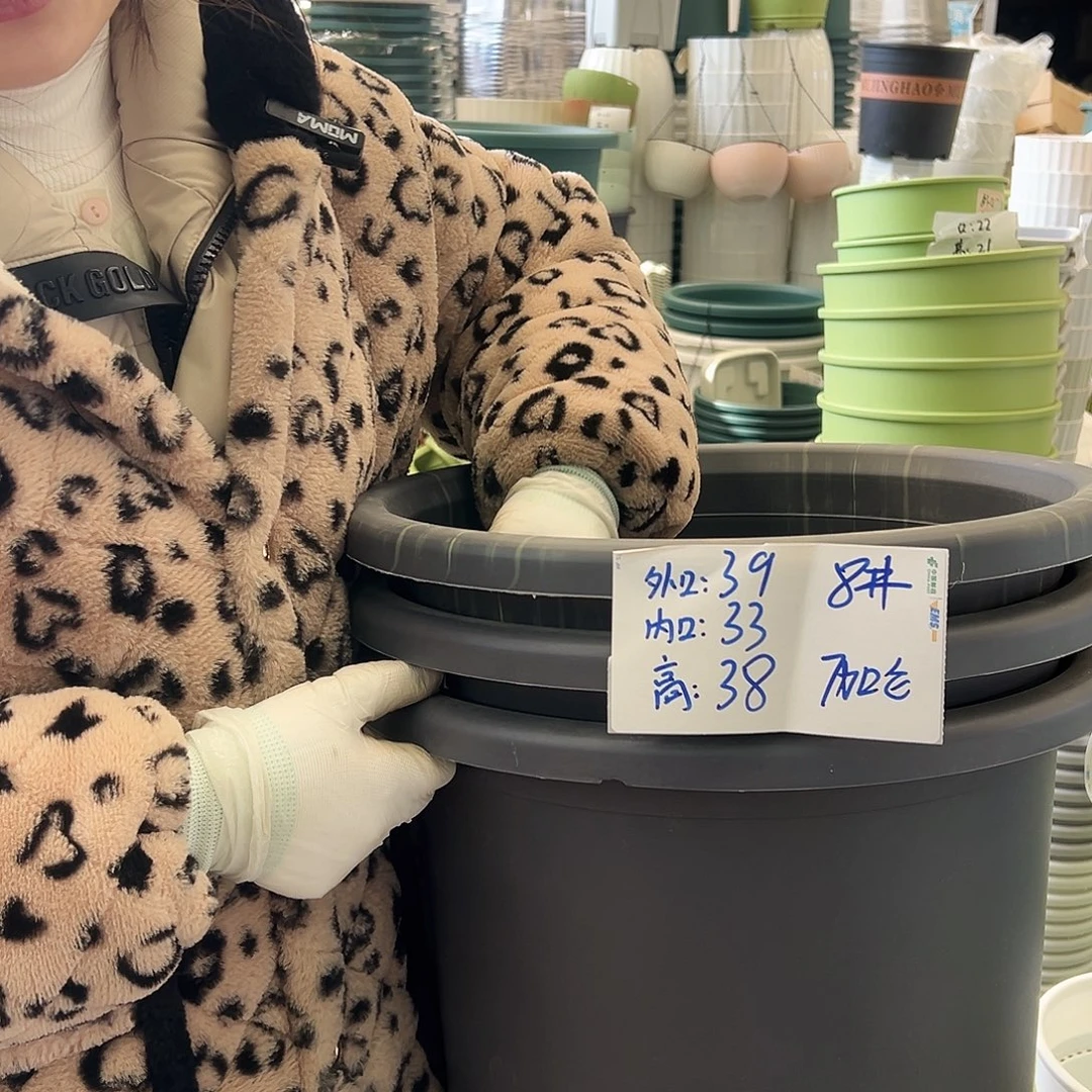 瑕疵四季盆8#灰黑5个无托