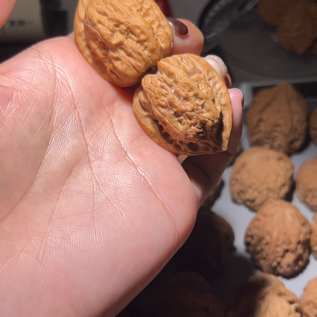 木质类赤龙鸡心31全品