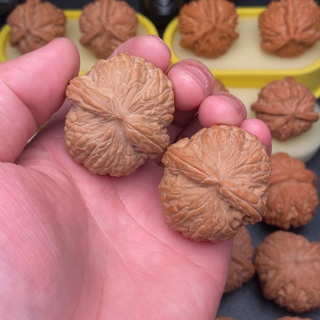 把件文玩核桃毕业金蝉子38