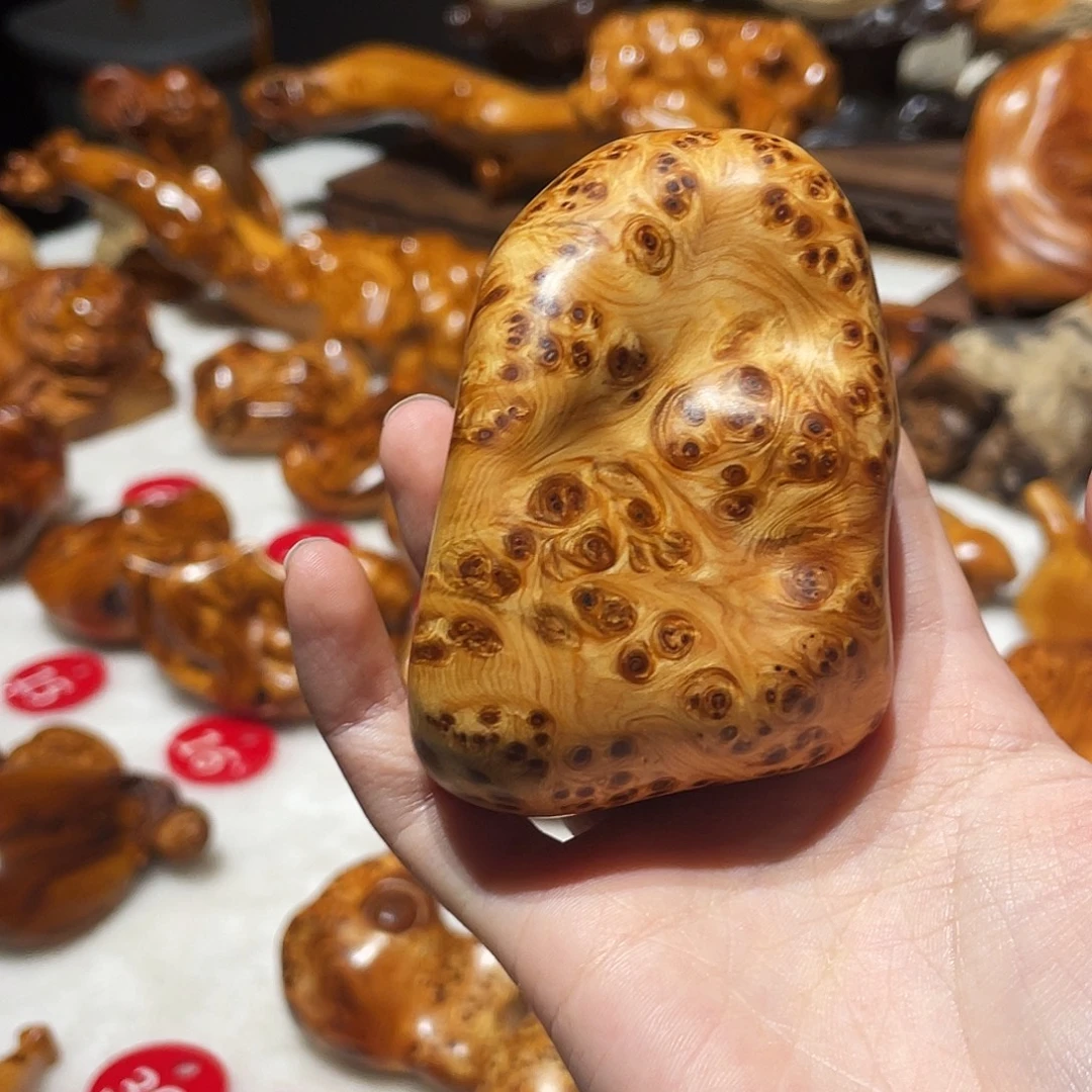 柏木（崖柏）太行崖柏