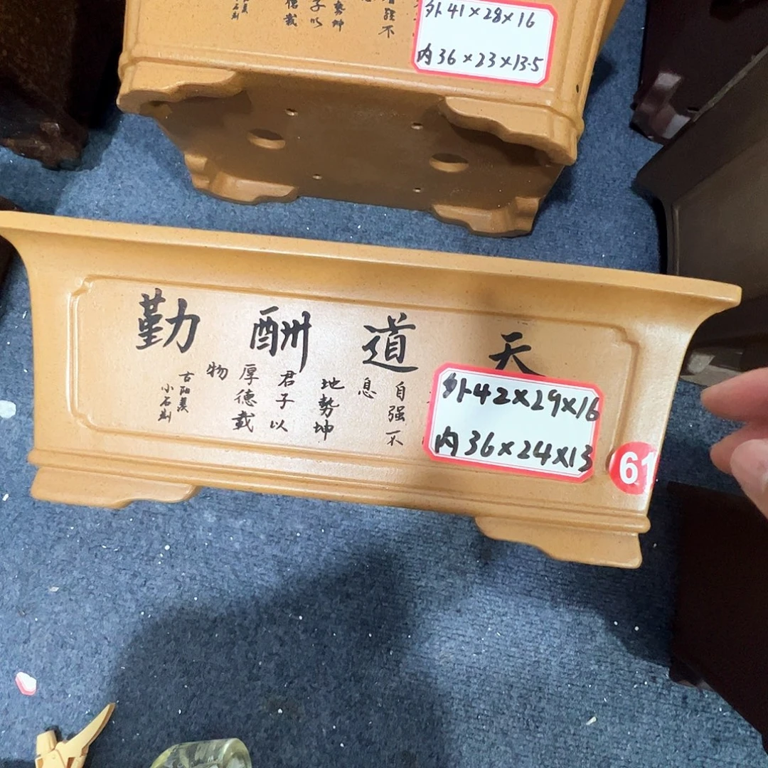 紫砂其他紫砂花盆