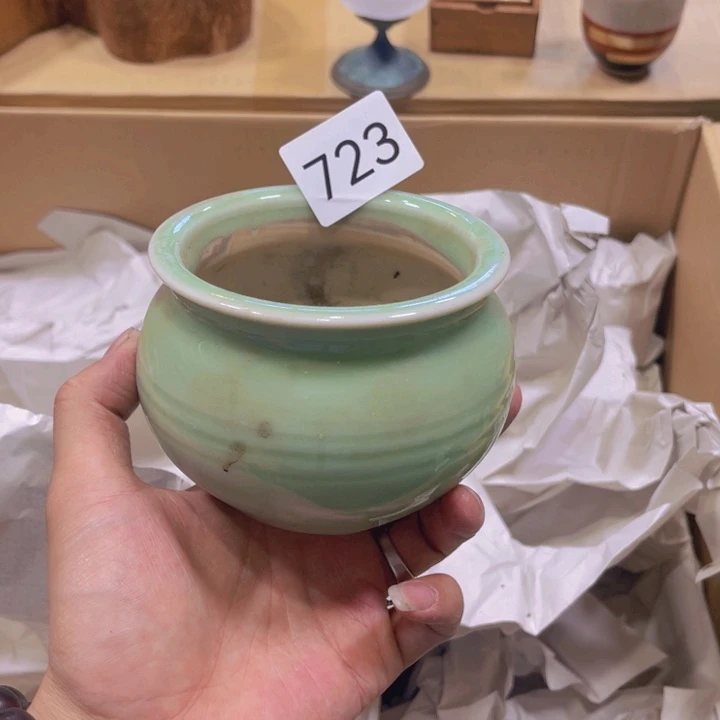 茶宠我们都在努力着改变着