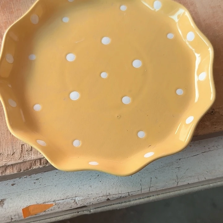 高温陶瓷八寸波点花朵盘