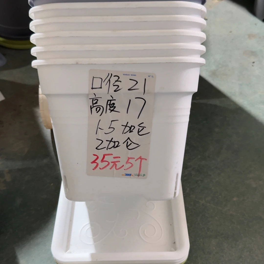 新款方盆口21带拖纯白5套