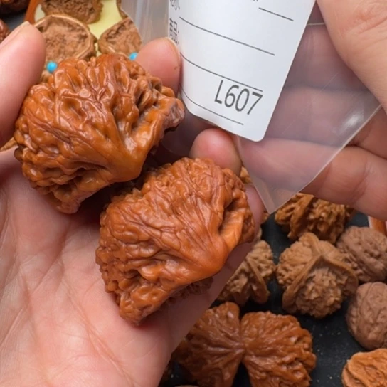 @***）吊坠文玩核桃43眼镜蛇