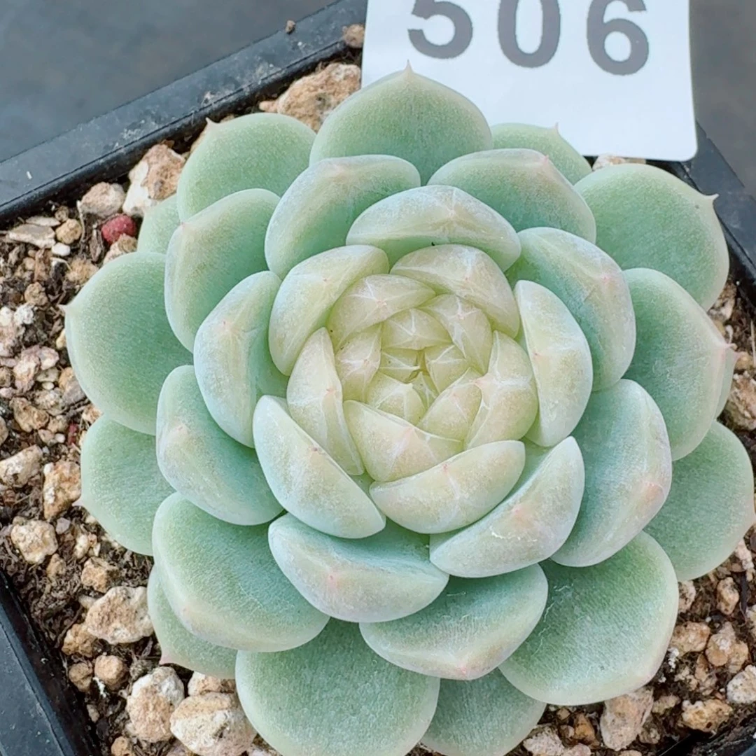 泼天富贵      愿你一路坦途，乘风破浪展宏图