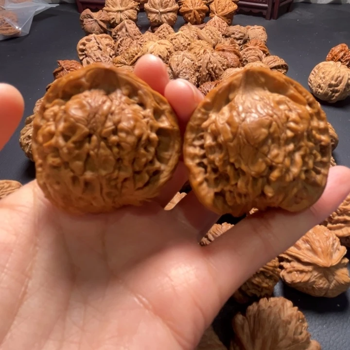 官帽蛇头43尺寸核桃哈哈哈哈哈哈哈